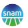 Snam logo